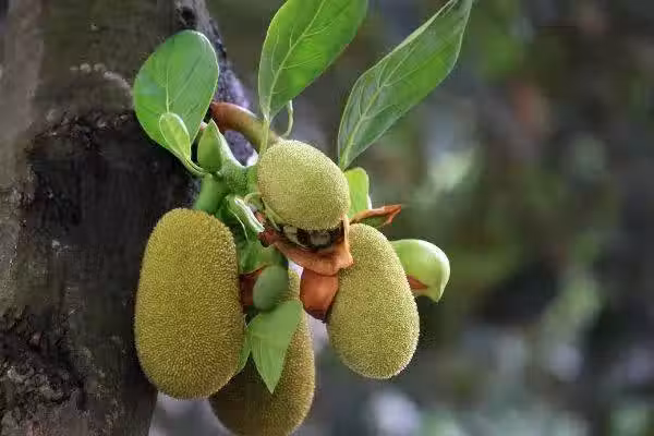 /www/bananadaily.net/web/images/image/2029/20293004.avif