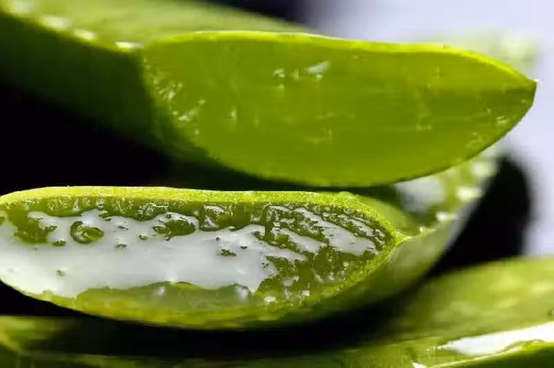 /www/bananadaily.net/web/images/image/2029/20293715.avif