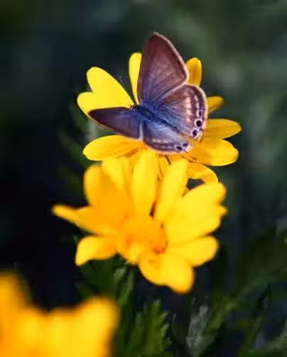 /www/bananadaily.net/web/images/image/2029/20295239.avif