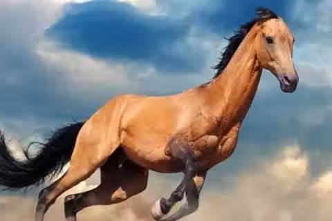 /www/bananadaily.net/web/images/image/2029/20295664.avif