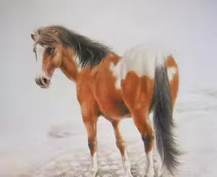 /www/bananadaily.net/web/images/image/2029/20295666.avif
