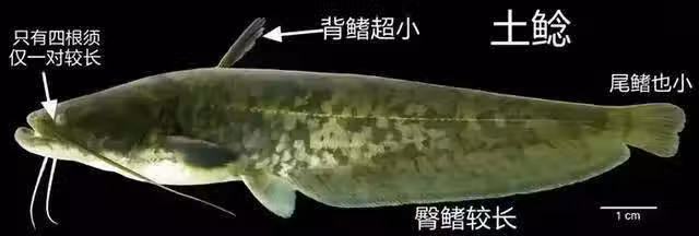 /www/bananadaily.net/web/images/image/2097/20973409.avif