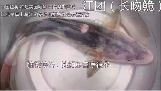 /www/bananadaily.net/web/images/image/2097/20973411.avif