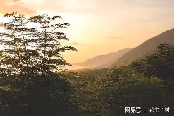 /www/bananadaily.net/web/images/image/2097/20975699.avif