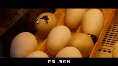 /www/bananadaily.net/web/images/image/2098/20981052.avif
