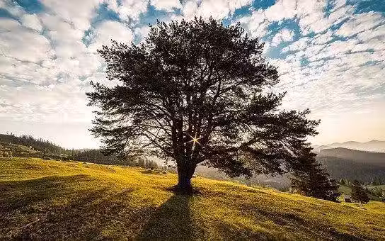 /www/bananadaily.net/web/images/image/2098/20983842.avif