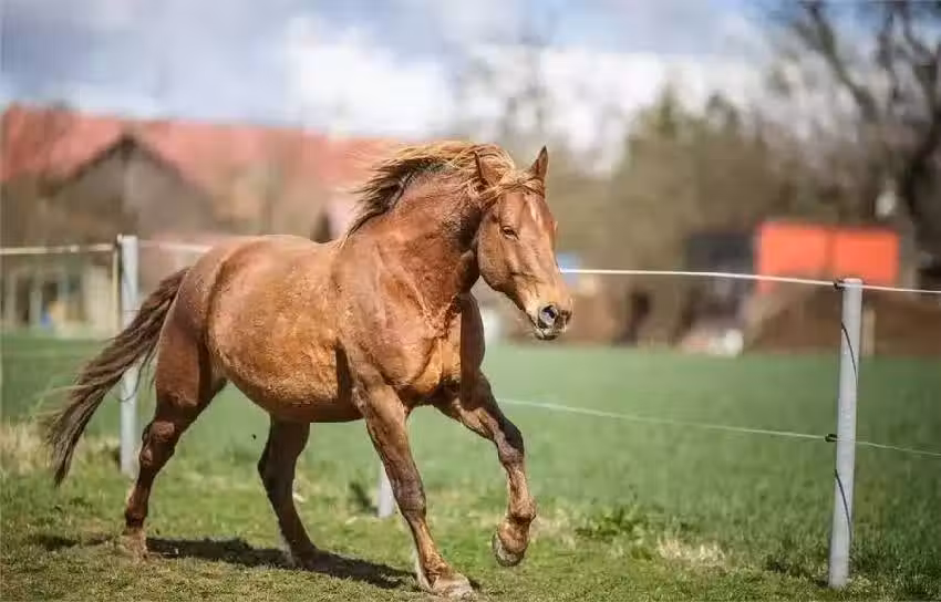 /www/bananadaily.net/web/images/image/2262/22623107.avif