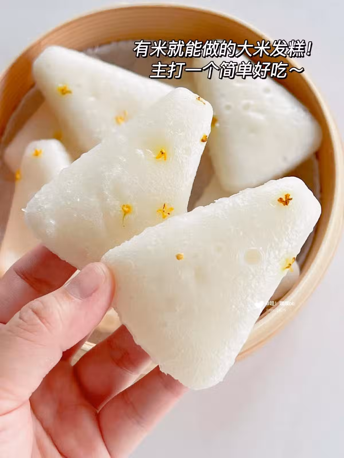/www/bananadaily.net/web/images/image/2266/22661258.avif