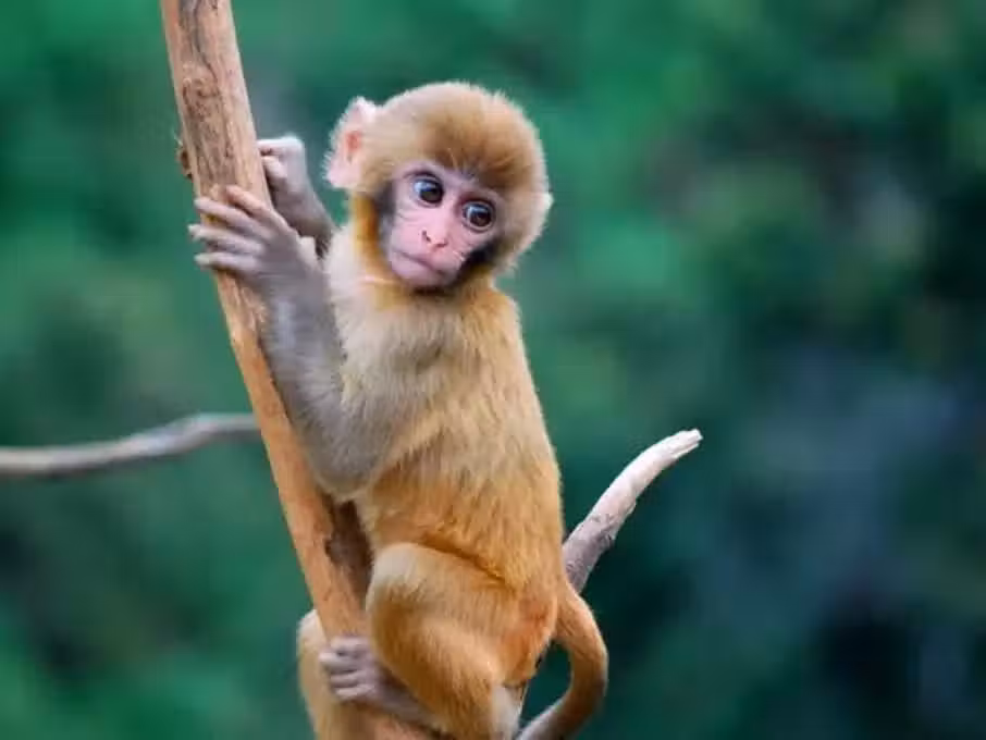 /www/bananadaily.net/web/images/image/2266/22662226.avif