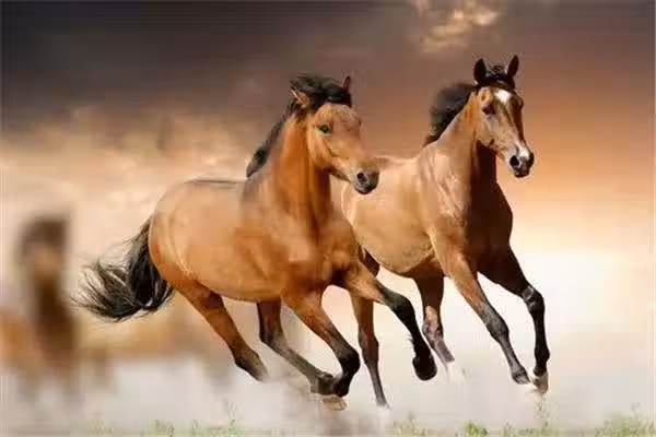/www/bananadaily.net/web/images/image/2266/22666311.avif