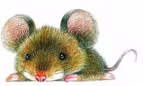 /www/bananadaily.net/web/images/image/2269/22694726.avif