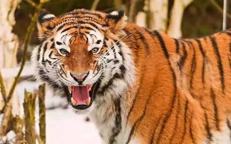 /www/bananadaily.net/web/images/image/2272/22728451.avif
