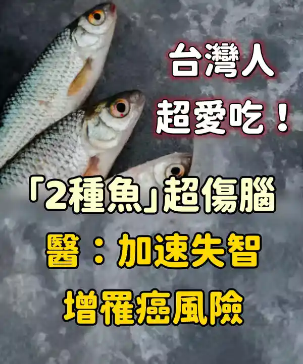 /www/bananadaily.net/web/images/image/2274/22749984.avif