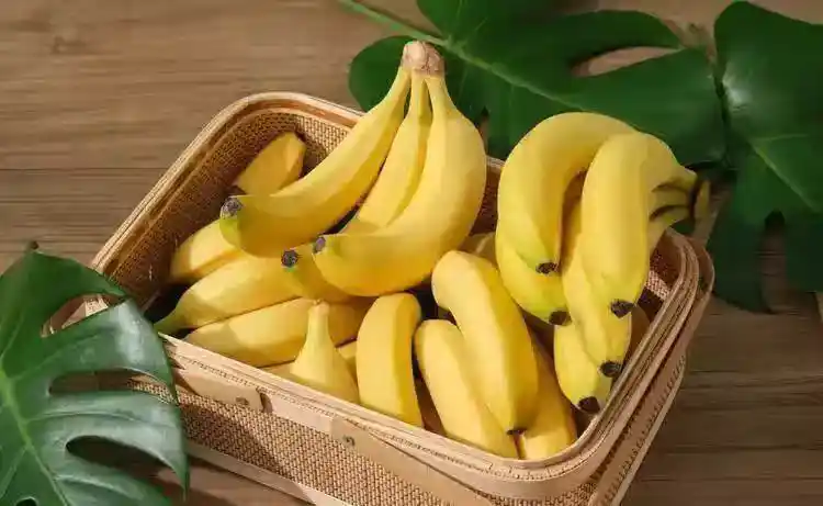 /www/bananadaily.net/web/images/image/2275/22750475.avif