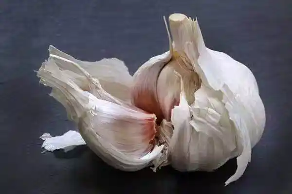 /www/bananadaily.net/web/images/image/2275/22750898.avif