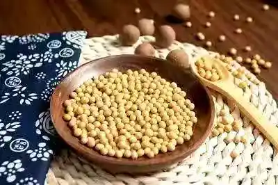 /www/bananadaily.net/web/images/image/2275/22752401.avif