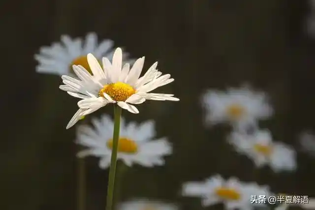 /www/bananadaily.net/web/images/image/2275/22752822.avif
