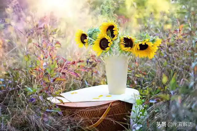 /www/bananadaily.net/web/images/image/2275/22752823.avif