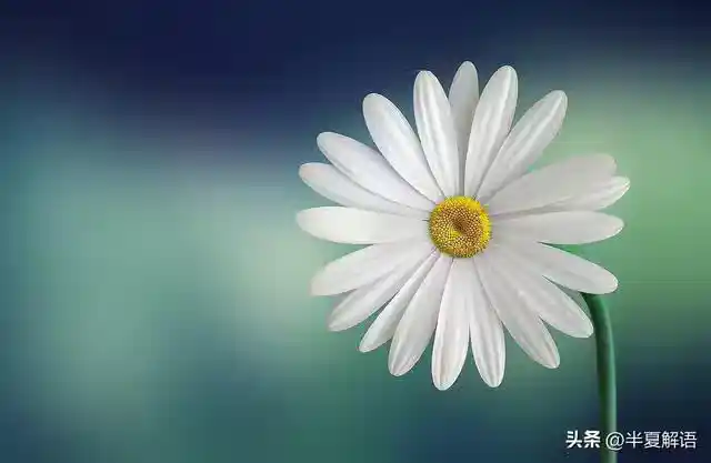 /www/bananadaily.net/web/images/image/2275/22752833.avif