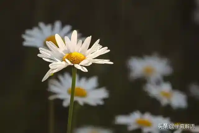 /www/bananadaily.net/web/images/image/2275/22752834.avif