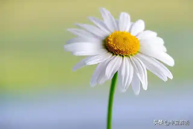 /www/bananadaily.net/web/images/image/2275/22752835.avif