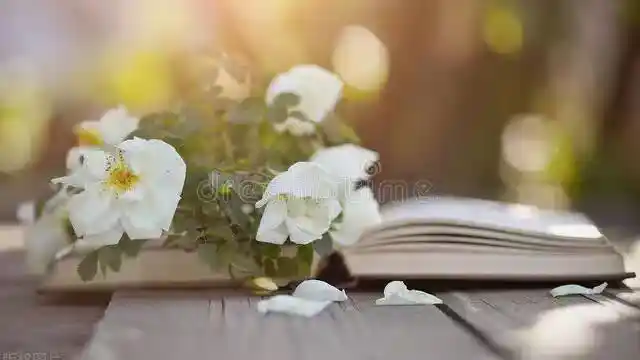 /www/bananadaily.net/web/images/image/2275/22752844.avif