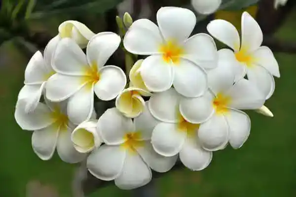 /www/bananadaily.net/web/images/image/2275/22753316.avif