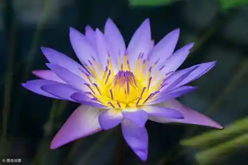 /www/bananadaily.net/web/images/image/2275/22753317.avif