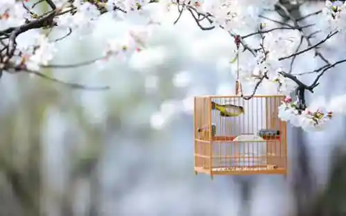 /www/bananadaily.net/web/images/image/2275/22753319.avif