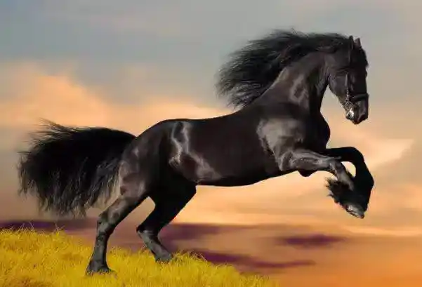 /www/bananadaily.net/web/images/image/2275/22754189.avif