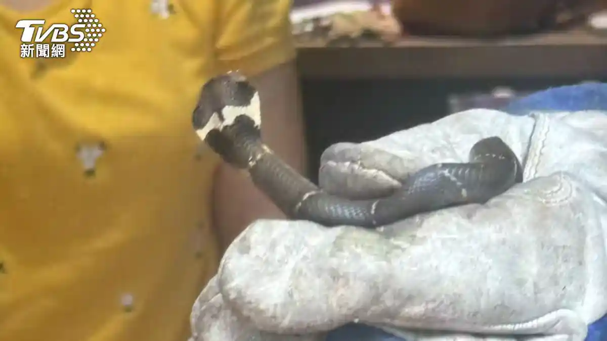 /www/bananadaily.net/web/images/image/2275/22755237.avif